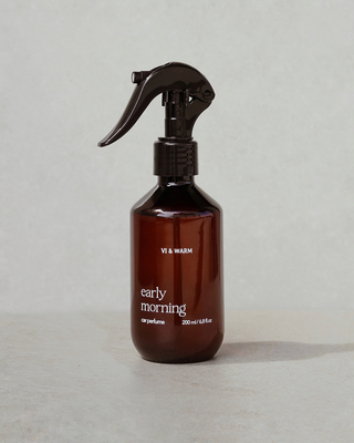 Парфуми для авто | Car perfume | Spray&Drive &laquo;Early morning&raquo; CPSDEM фото
