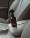 Парфуми для авто | Car perfume | Spray&Drive &laquo;Early morning&raquo; CPSDEM фото 2