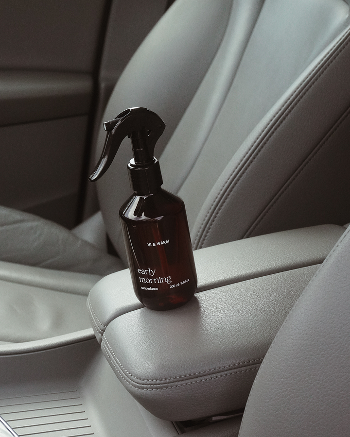 Парфуми для авто | Car perfume | Spray&Drive &laquo;Early morning&raquo; CPSDEM фото